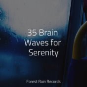 35 Brain Waves for Serenity