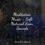 Meditation Music - Soft Natural Rain Sounds