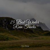 25 Best Winter Rain Tracks