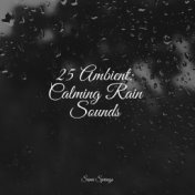 25 Ambient: Calming Rain Sounds