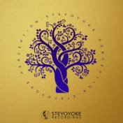 Steyoyoke Perception, Vol. 09