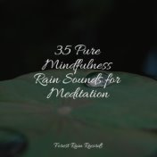 35 Pure Mindfulness Rain Sounds for Meditation