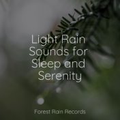 Light Rain Sounds for Sleep and Serenity