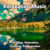 zZZz Relaxation Music for Sleep, Relaxation, Studying, Regeneration
