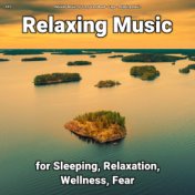 #01 Relaxing Music for Sleeping, Relaxation, Wellness, Fear