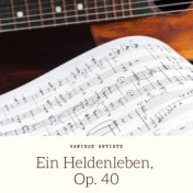 Ein Heldenleben, Op. 40