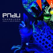 Chameleon (Pnau X Melé Remix)