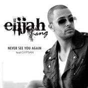 Never See You Again (feat. Gyptian)