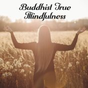 Buddhist True Mindfulness - Spiritual Meditation, Inner Bliss, Chakra Cleansing and Balancing, Zen Relaxation, Connection with B...