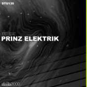 Prinz Elektrik