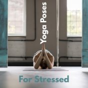 Yoga Poses For Stressed - Yoga Practice Helps Relieve Anxiety and Stress