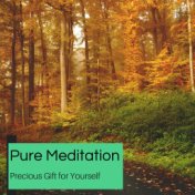 Pure Meditation - Precious Gift For Yourself