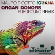 Iguana (Organ Donors Subground Rework)