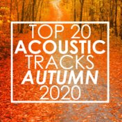 Top 20 Acoustic Tracks Autumn 2020 (Instrumental)