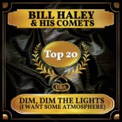 Dim, Dim the Lights (I Want Some Atmosphere) (Billboard Hot 100 - No 11)