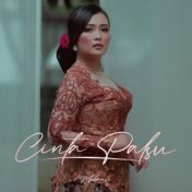 Cinta Palsu