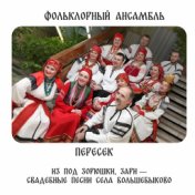 Из под зорюшки, зари — свадебные песни села Большебыково