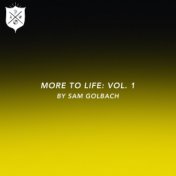 More To Life, Vol. 1 by Sam Golbach