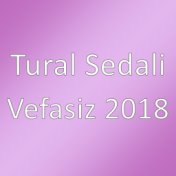 Vefasiz 2018