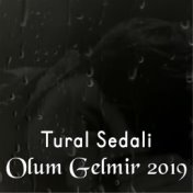 Olum Gelmir 2019