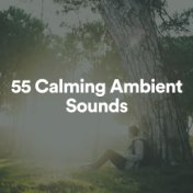 55 Calming Ambient Sounds