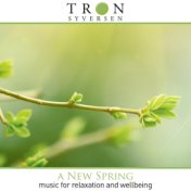 A NEW SPRING (Music for relaxation and wellbeing)