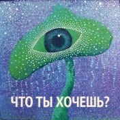 Что ты хочешь?