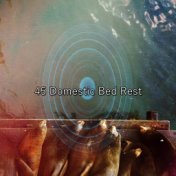 45 Domestic Bed Rest