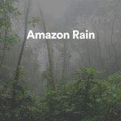 Amazon Rain