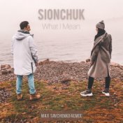 What I Mean (Max Savchenko Remix)