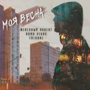 Моя весна