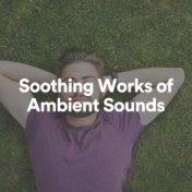 Soothing Works of Ambient Sounds