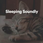 Sleeping Soundly
