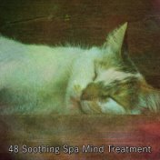 48 Soothing Spa Mind Treatment