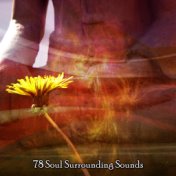 78 Soul Surrounding Sounds