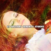 27 Solitary Serenity Storms