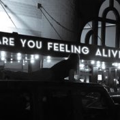 Are You Feeling Alive