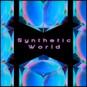 Synthetic World (Electronic Version)