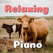 Relaxing Piano