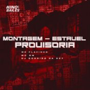 Montagem - Estável Provisória