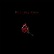 Burning rose