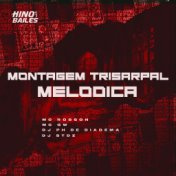 Montagem Trisarpal Melodica