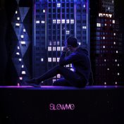 Slowmo (Remix)