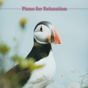 Piano for Relaxation