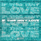 If This Isn't Love (feat. Caitlyn Scarlett) [Jay Robinson Remix] (Extended Mix)