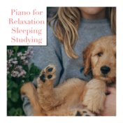 Piano for Relaxation, Sleeping, Studying