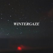Wintergaze