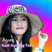 Gadi Gunuang Toar