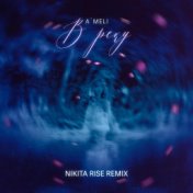 В реку (Nikita Rise Remix)