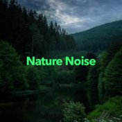 Nature Noise